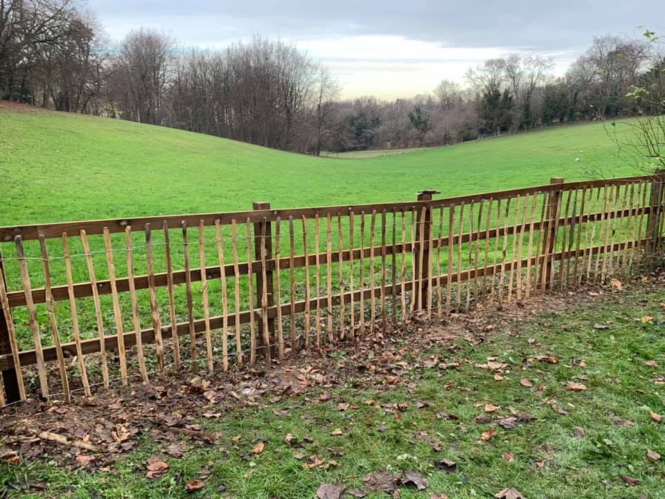 A new chestnut paling fence along the edge of a sloping field