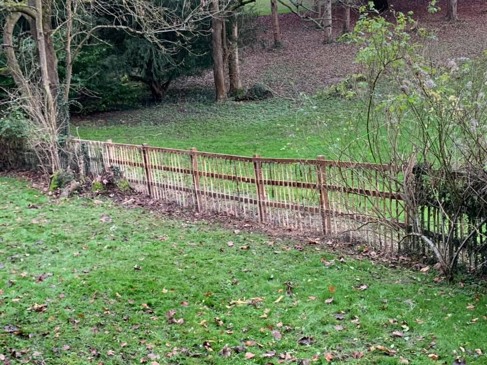 Chestnut paling fencing running through a woodland garden