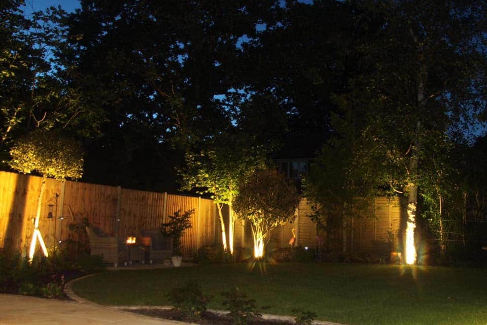The same garden at dusk, with garden lights shining up the birch trees and along the fence