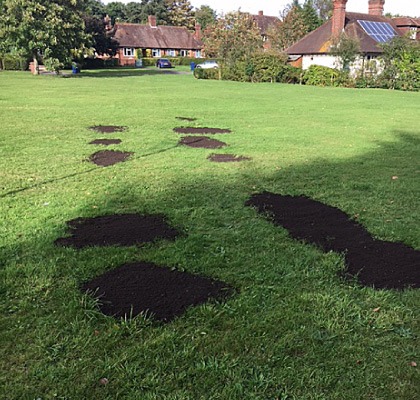 Patches of fresh soil filling holes across a village green