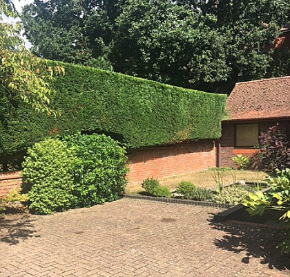 A tall hedge cut square above a block-paved drive