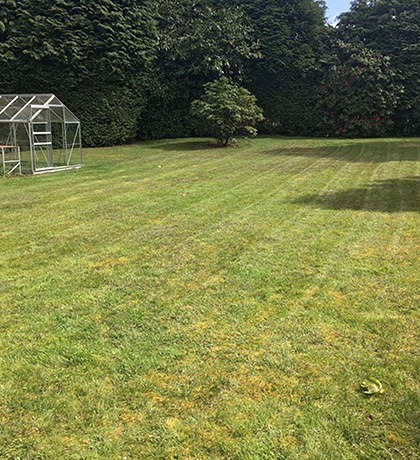 A big mown lawn with a greenhouse at the far end