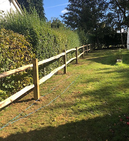 Rustic post and rail fencing along a hedge line
