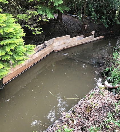 New sleepers stepped down the bank at the water's edge